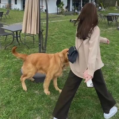 亲爱的总理